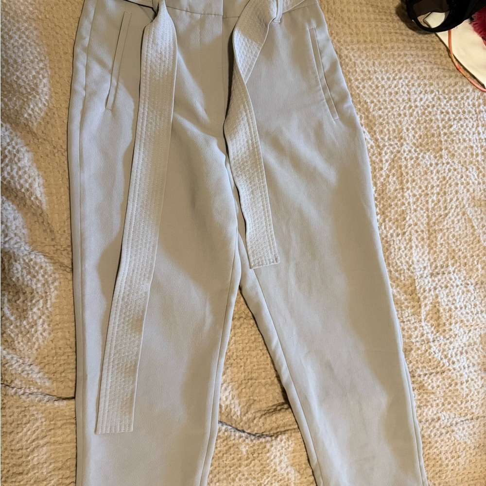 Aritzia Wilfred front tie Crepe Pants